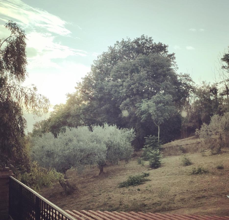 Casale Del Sole Bed & Breakfast Cepagatti Bagian luar foto