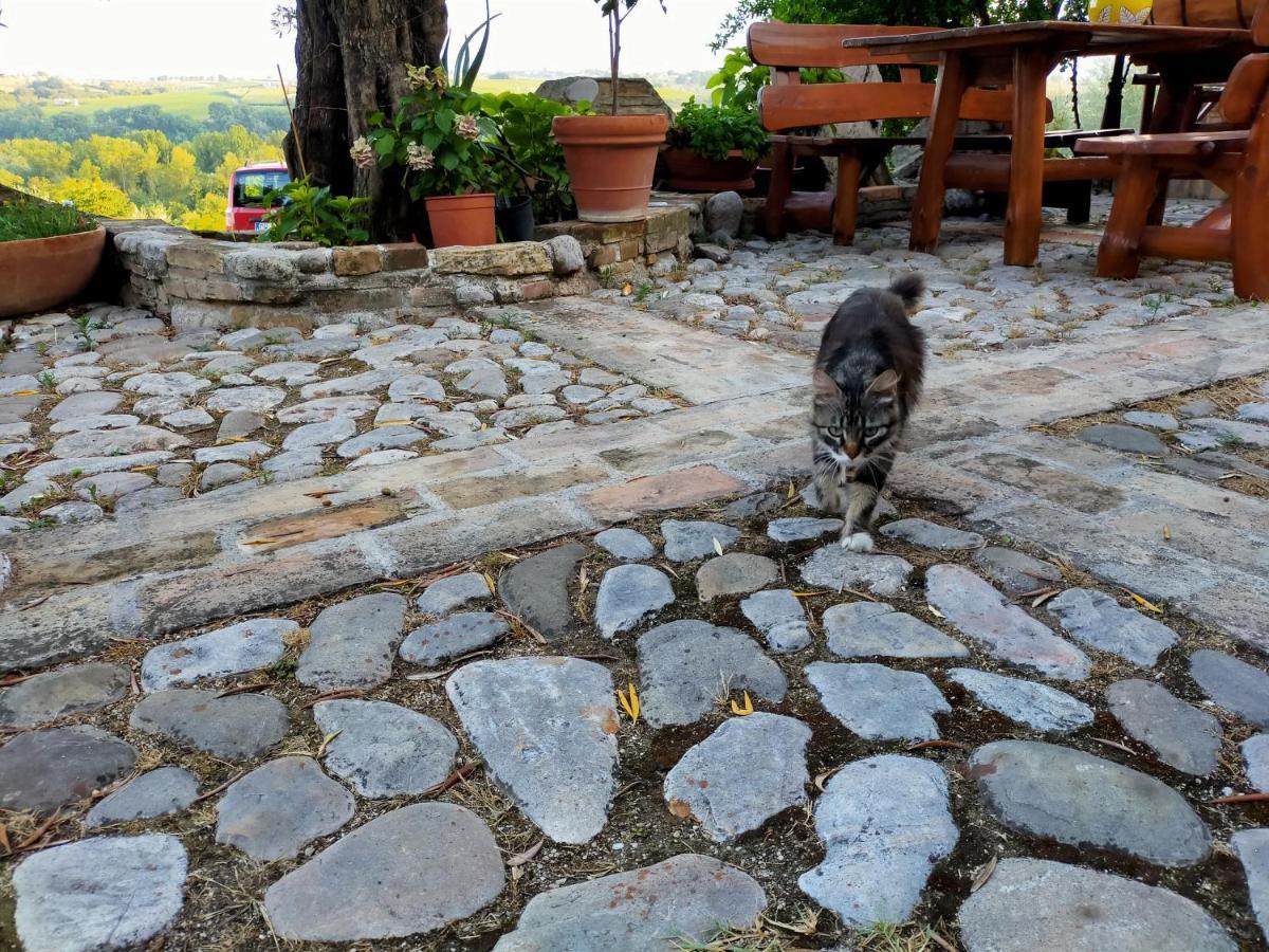 Casale Del Sole Bed & Breakfast Cepagatti Bagian luar foto