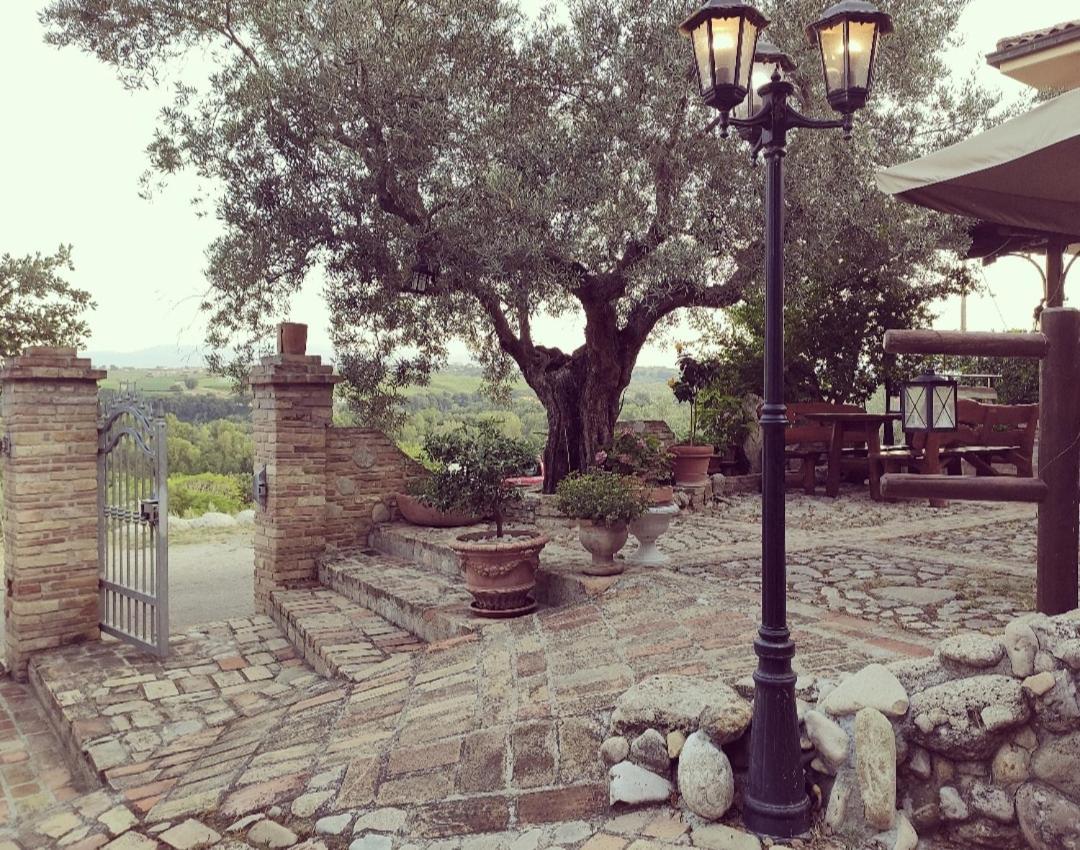 Casale Del Sole Bed & Breakfast Cepagatti Bagian luar foto