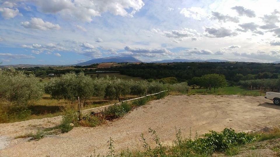 Casale Del Sole Bed & Breakfast Cepagatti Bagian luar foto
